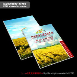 專業(yè)PSD建筑陶瓷行業(yè)畫冊(cè)設(shè)計(jì) 素材、模板與廣告設(shè)計(jì)要點(diǎn)